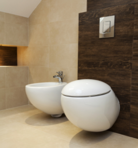 Modern Toilet Bidet